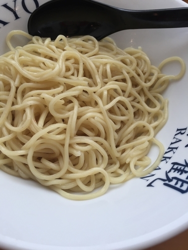 「赤珊瑚」@楽観（赤）の写真