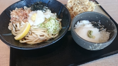 「おろしぶっかけうどん」@笠間製麺処の写真