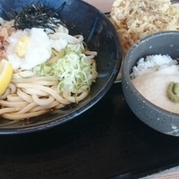 おろしぶっかけうどん