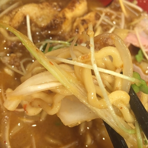 「北海道風味噌らーめん」@創作らーめん style林の写真