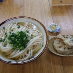 純手打ち讃岐うどん 綾の画像