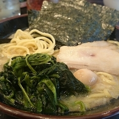 横浜家系ラーメン 新とんこつ大学 八丁堀キャンパスの画像