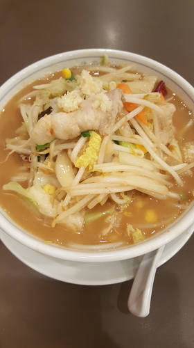 「毎日野菜味噌たんめん」@たんめん専門店 百菜の写真