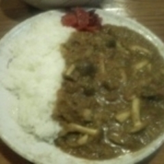 こんちゃんの画像