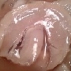 風来軒 立川店の画像