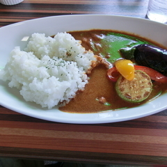 たんぽぽの画像