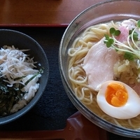 限定　冷やし煮干しそば