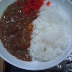 咖哩軒 土山サービスエリア店の画像