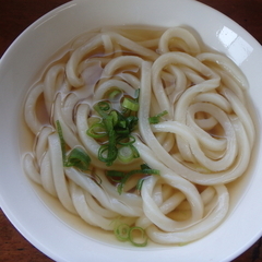 手打ちうどん 松岡の画像