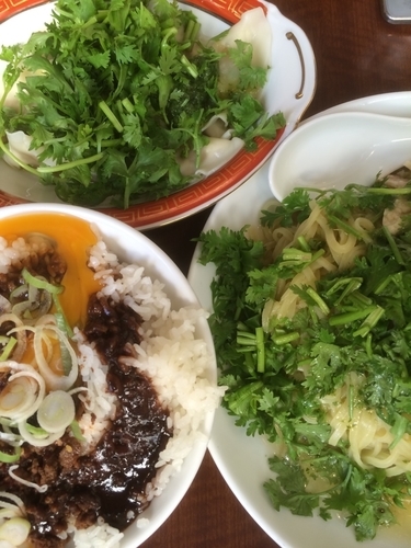 「鶏香菜冷麺+香草餃子+担々玉子ご飯」@タイガー餃子会館 浅草別館の写真