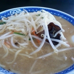 正ちゃんの画像