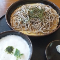 手打ち麺工房 一樹の画像