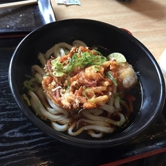 本格手打ちうどん つづみの画像