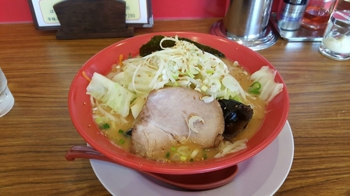「どっさり野菜味噌ラーメン」@ラーメン餃子専門店 北条 本店の写真