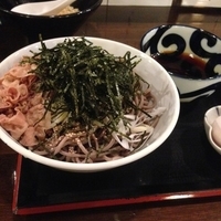 冷たい肉蕎麦¥870