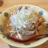 味噌ラーメントッピングネギ麺硬め