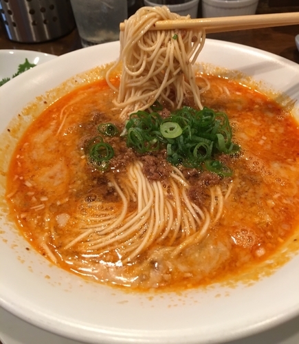 「担担麺 800円 & パクチー盛り 100円」@創作麺工房 鳴龍の写真