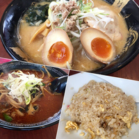 味噌らーめん味玉入り ¥900 / 辛痺龍火麺 (辛2 痺2) 
