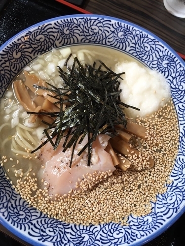 「限定 潮煮干冷やしそば750円+税金」@麺処 いぐさの写真