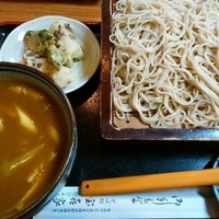 つけカレーそば