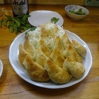 焼ギョウザ2人前