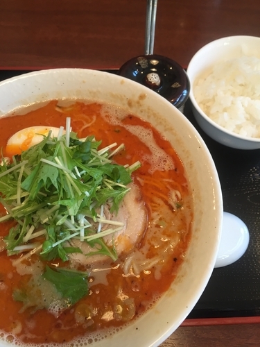 「坦々麺、ライス」@中華麺酒家 彩華の写真