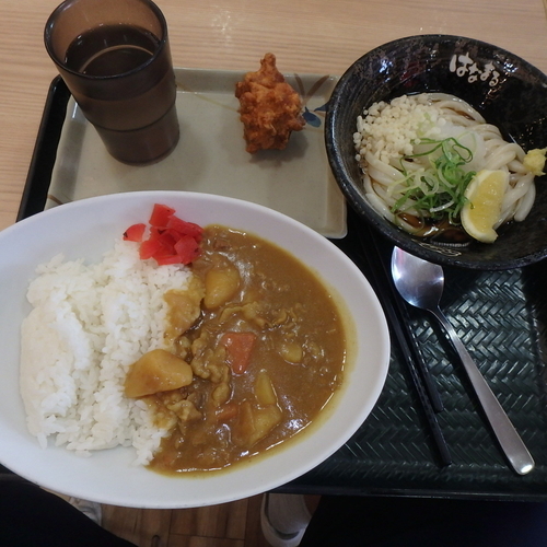 「ぶっかけ(小)(300円)、セットカレー(+280円)他」@はなまるうどん 屏風山PA上り店の写真