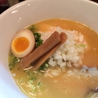 丸鶏白湯らーめん塩