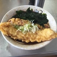 わかめちくわいか天そば