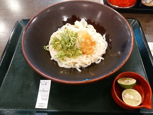 「すだちおろしうどん(並盛)490円」@なか卯 50号前橋朝日店の写真