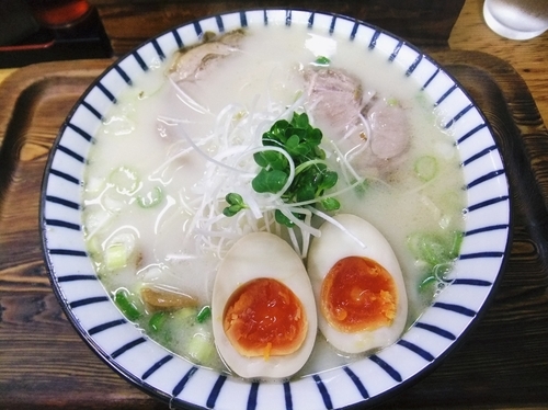 「軍鶏塩白湯ラーメン（800円）」@軍鶏ラーメン美幸の写真
