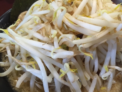 「和蔵インスパイア 野菜マシマシ」@らーめん和蔵 本店の写真