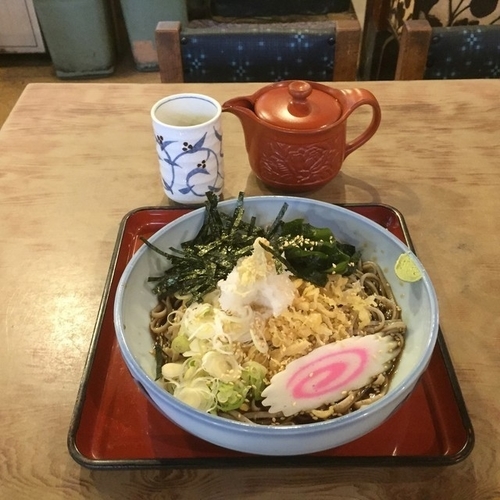 「冷やしタヌキそば」@さか本そば店の写真