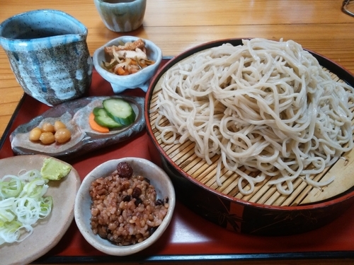 「もりそば（中盛り）」@手打ち蕎麦処 京屋の写真