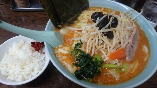 「辛子味噌(800円)中盛(100円)キャベツ(100円)」@とんぱた亭 片倉町店の写真