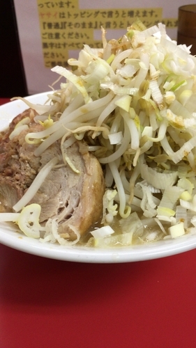 「ラーメン、野菜チョイ増し、ネギ、ニンニク」@ラーメン一心の写真