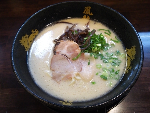 「とんこつラーメン(カタ)」@博多風龍 高田馬場店の写真