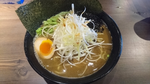 「焼き煮干しラーメン(麺硬め・味濃いめ)」@ラーメン 萩原家 藤沢店の写真