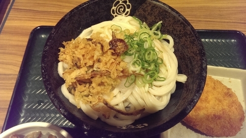 「おろし醤油うどん、大」@はなまるうどん 京王グリナード店の写真