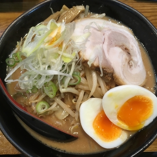 「味噌 ＋ 半熟玉子」@麺処 花田 上野店の写真