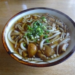 キノコうどん