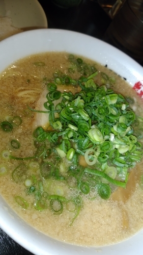 「ラーメン並全部普通７８０円+ライス無料」@京都銀閣寺 ますたにラーメン 日本橋本店の写真
