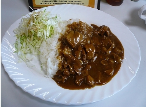 「スタミナガッツカレー」@からす亭の写真