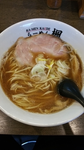 「煮干しらーめん(限定)」@らーめん楓の写真