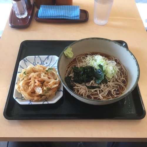 「冷やしぶっかけ蕎麦 （回数券 限定商品）」@名代 箱根そば 成城学園前店の写真