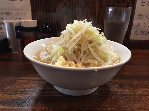 「普通（中盛）」@麺屋 鳳の写真