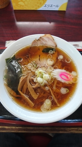 「手打ちらーめん 600円」@青竹手打ち佐野らーめん たけざわの写真