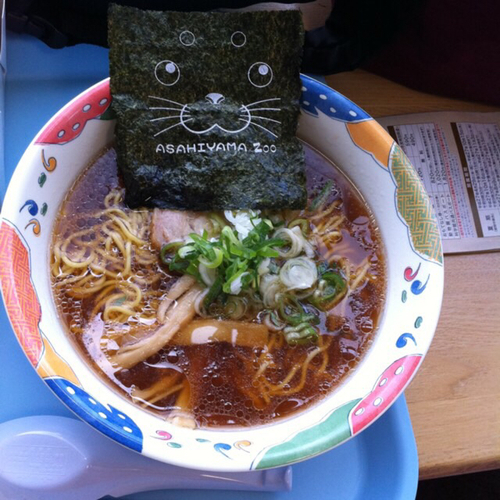 「旭川ラーメン」@旭山動物園中央食堂の写真