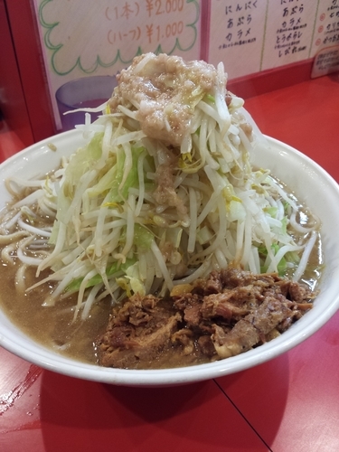 「小ラーメン(ニンニク少し、野菜&あぶら増し)➕ほぐし豚」@麺屋 桐龍の写真