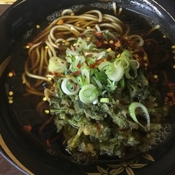 春菊天そば【340円】